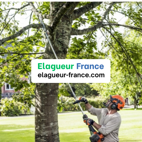 couper une branche d'arbre dans son jardin élagueur arsitan bucheron professionnel devis pas cher 1234567890 région france