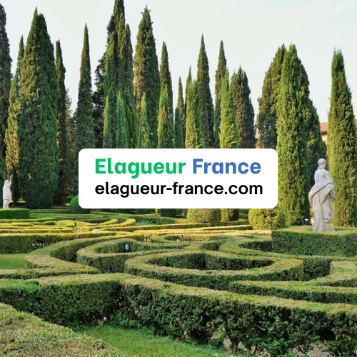 découpe abre cypres taille arbre forme en cone entretien jardin Nimes Gart Montpellier Heraut Occitanie France