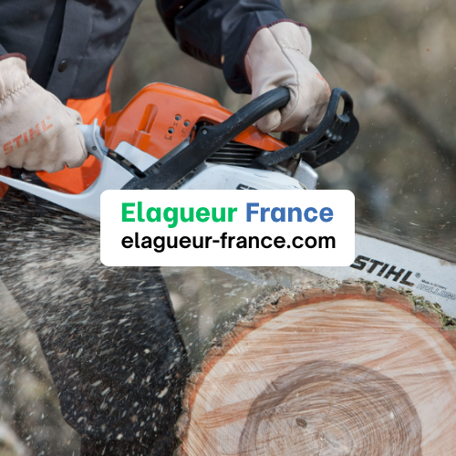 tronconneuse bois découpe couper un tronc d'arbre élagueur bucheron france nimes gard 30 montpellier 34 sud hérault occitanie france